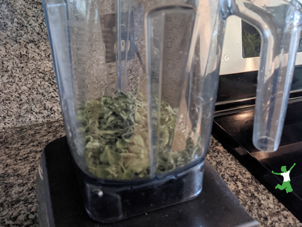 dried oregano leaves in a food processor