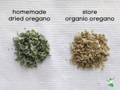 store versus freshly dried oregano leaves