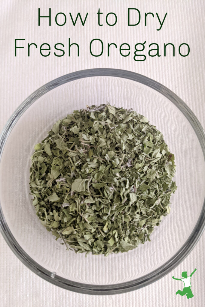 freshly dried oregano leaves in a glass container