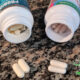 capsules of most effective probiotics on granite counter