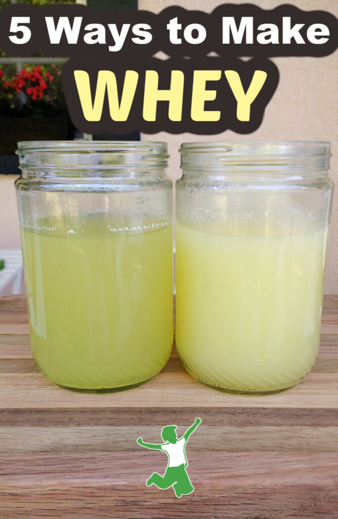 jars of homemade whey made with different methods