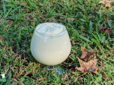 kefir ice cream in a dessert glass with grassy background