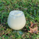 kefir ice cream in a dessert glass with grassy background