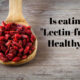 high lectin goji berries on wooden spoon