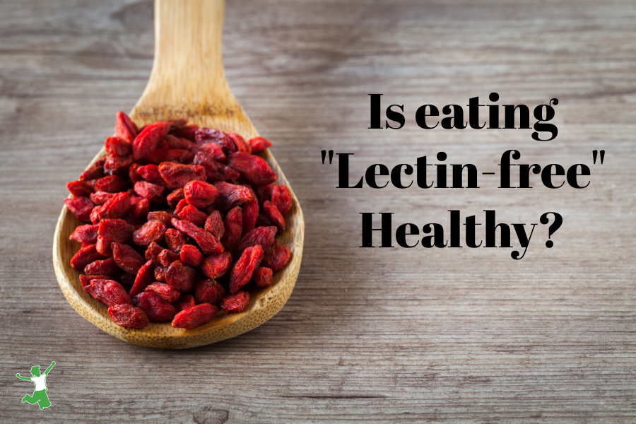high lectin goji berries on a wooden spoon
