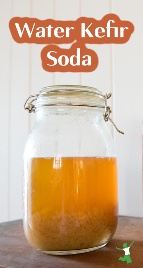 jar of homemade water kefir on wooden counter