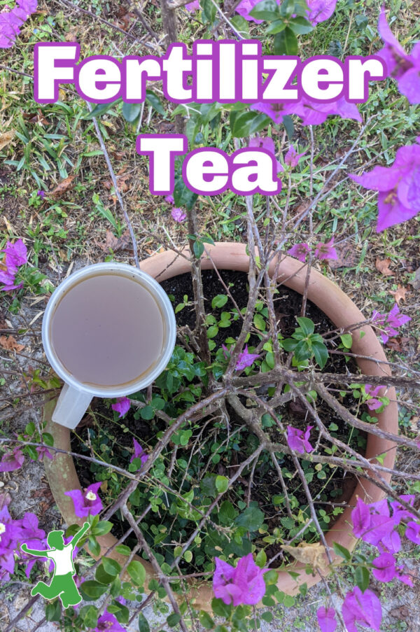 3 Easy Ways to Make Fertilizer Tea Healthy Home Economist