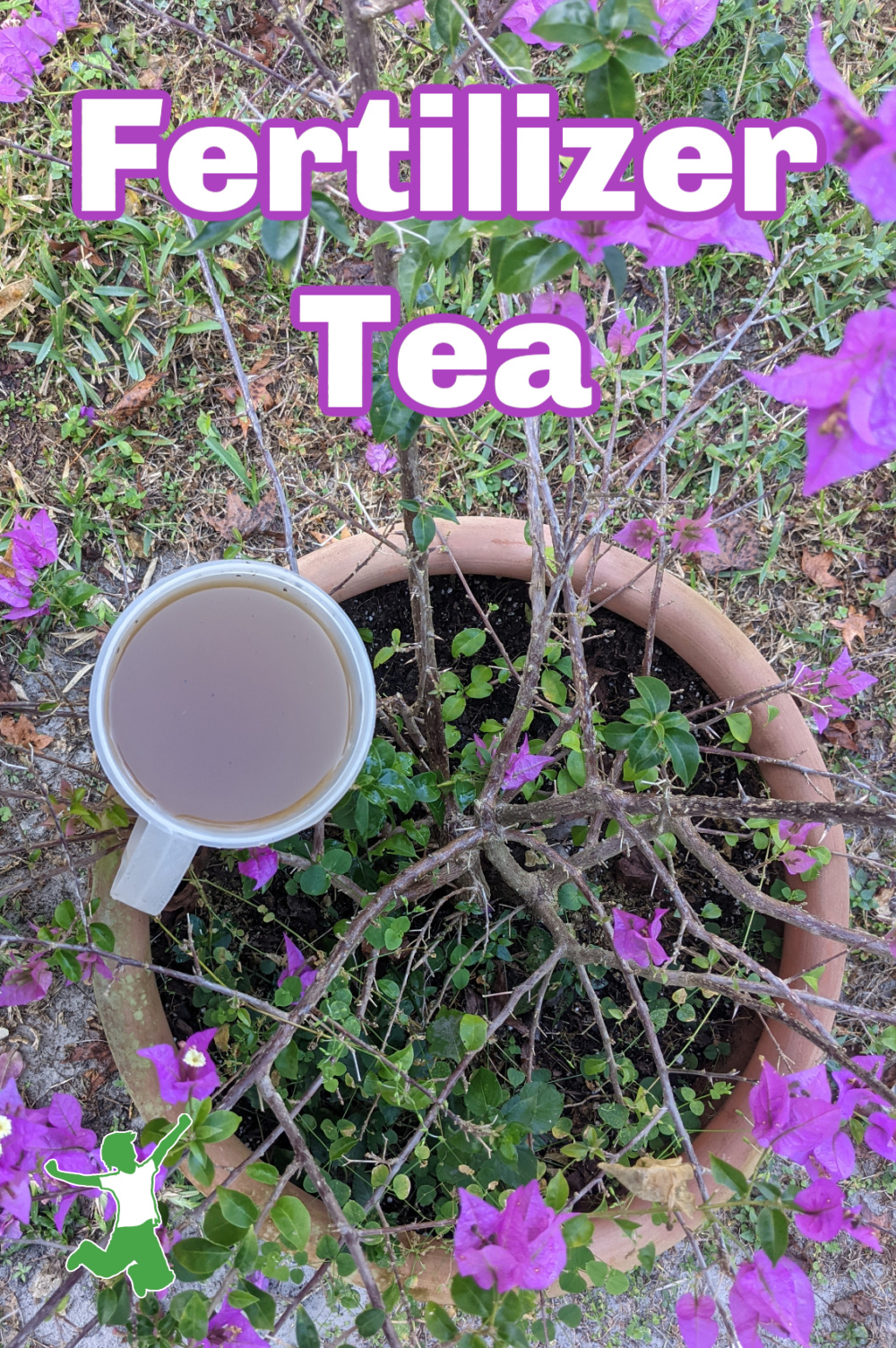 3 Easy Ways to Make Fertilizer Tea Healthy Home Economist