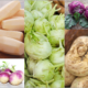 nonstarchy potato alternatives for low carb diets photo collage