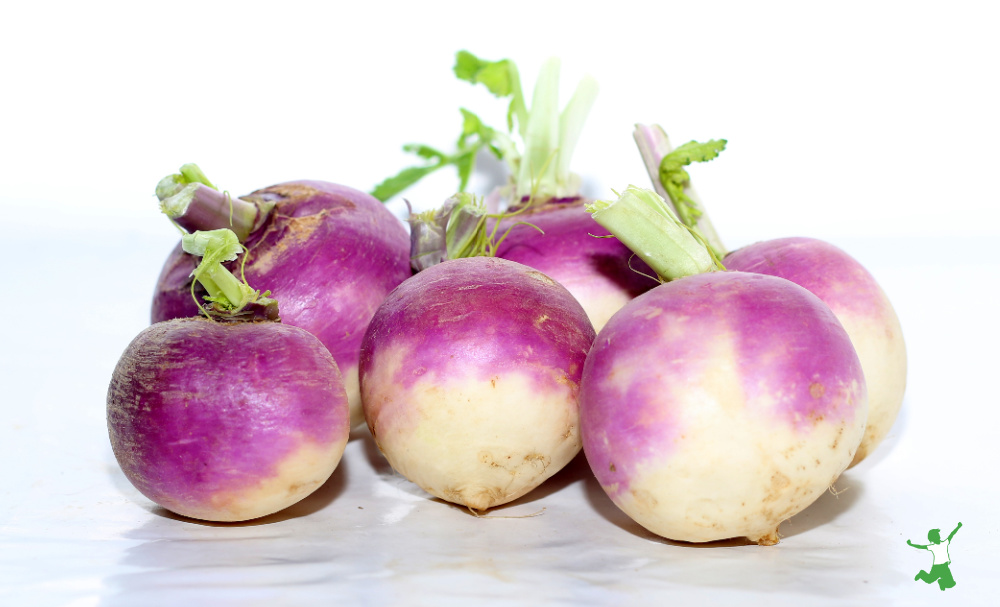 half dozen turnips with greens white background