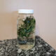 jar of fresh rosemary infusing in hot water for a cleansing bath