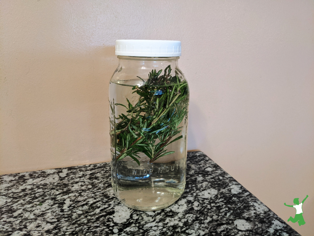 jar of fresh rosemary infusing in hot water for a cleansing bath