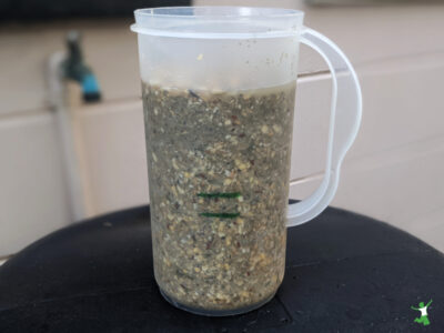 chicken feed soaking in water in a container