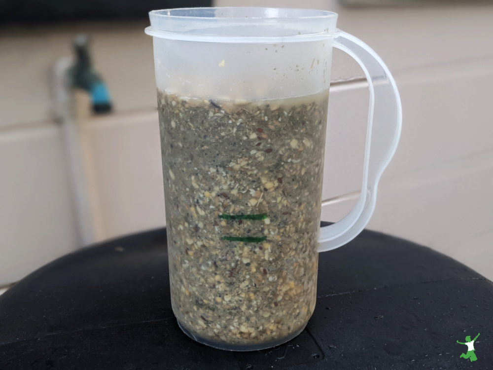 soaked chicken feed in a half gallon container