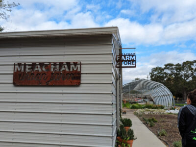 woman shopping at urban farm CSA