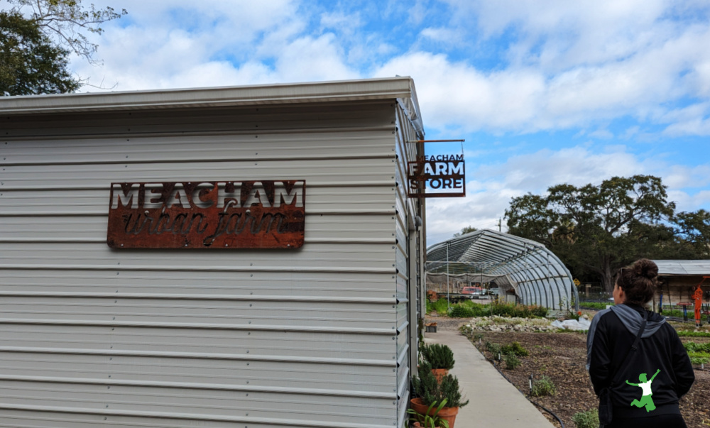 woman shopping at urban farm CSA