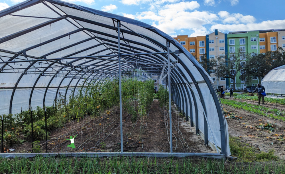 volunteers working at a CSA urban farm