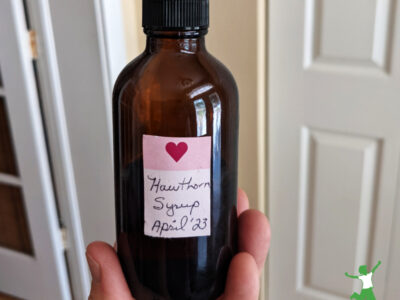 woman holding amber bottle of homemade hawthorn heart syrup