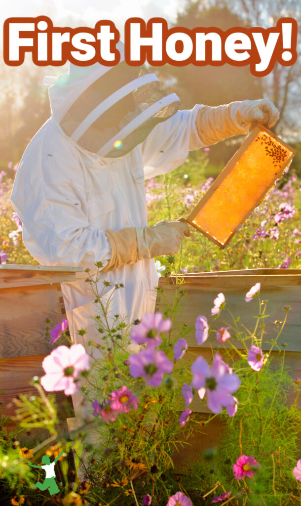 beekeeper holding frame of first honey