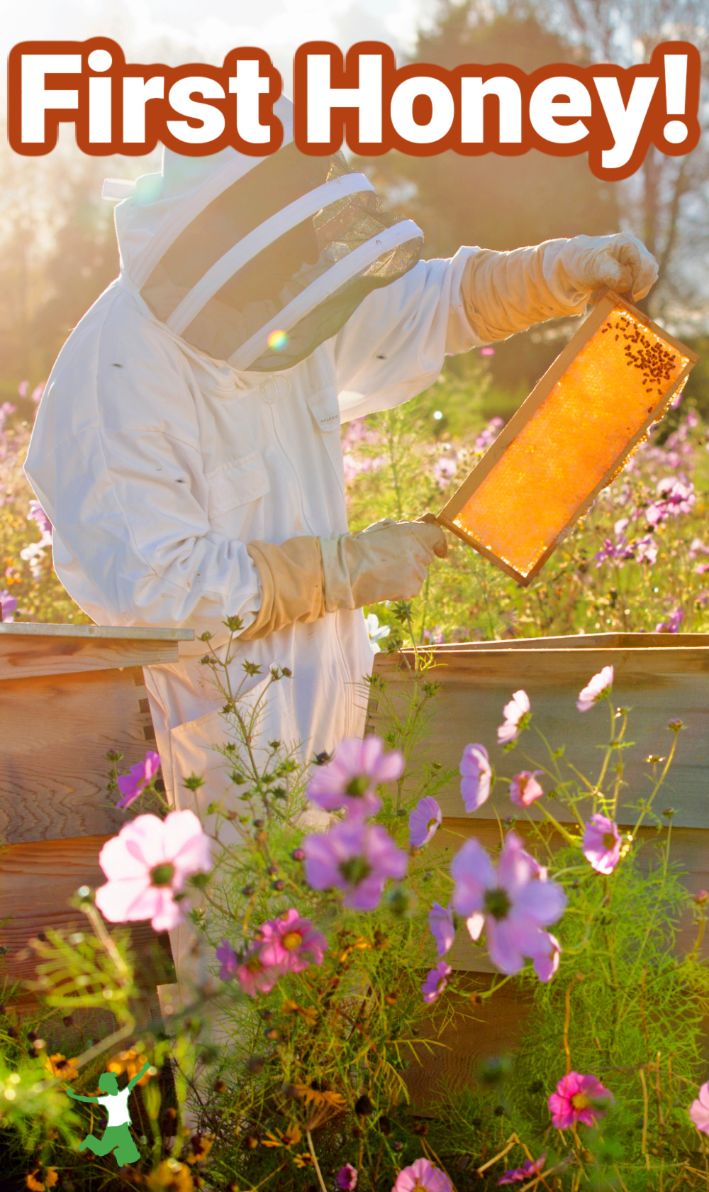 First Honey From Backyard Beehive Healthy Home Economist first-honey-from-backyard-beehive-healthy-home-economist