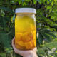 woman holding jar of golden beet kvass with natural background