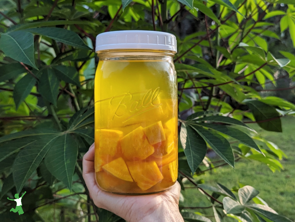 woman holding jar of golden beet kvass with natural background