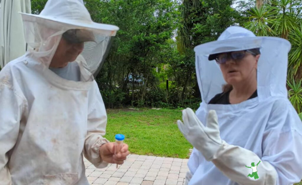 Beekeeper safely marks a queen bee