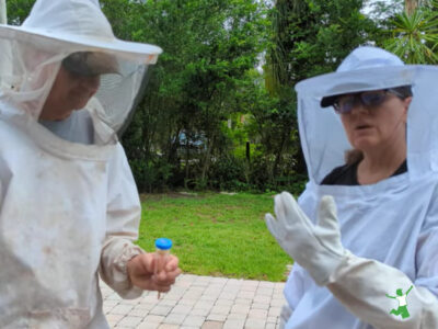 woman explaining how to safely mark a queen bee