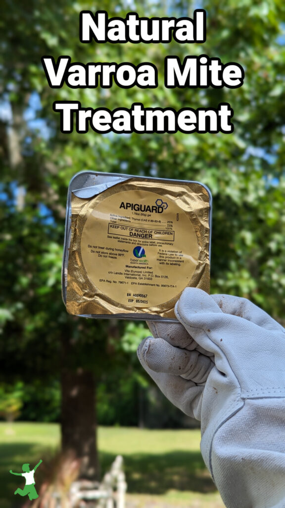 beekeeper holding tin of natural varroa mite treatment