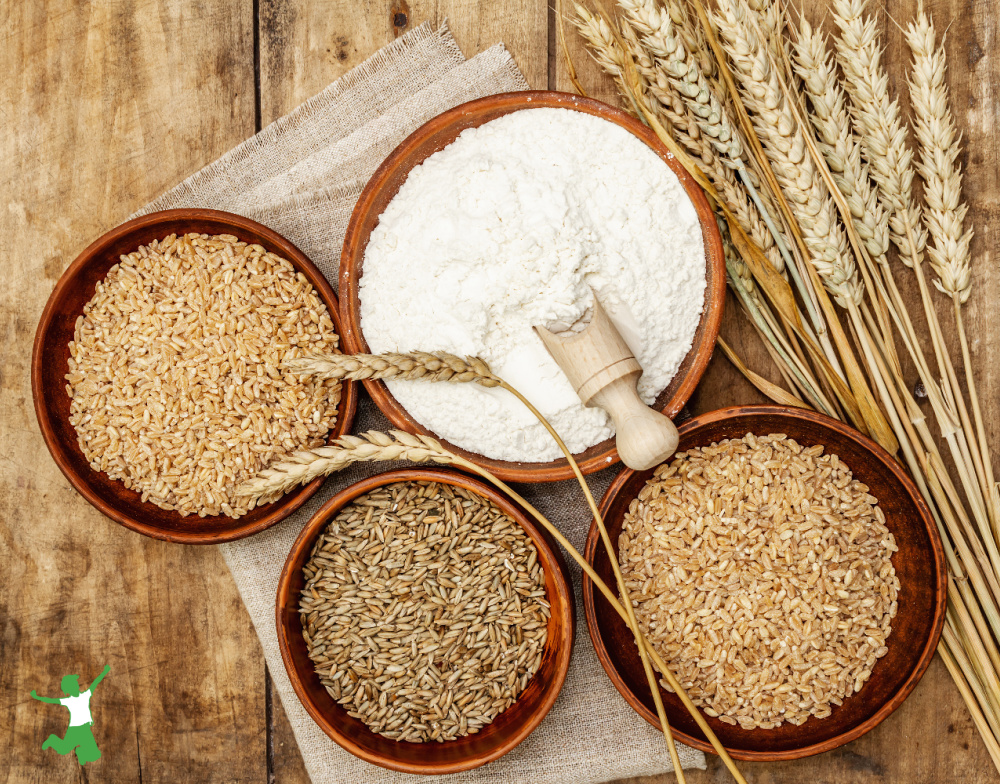 GMO wheat and hybrid varieties in bowls on wooden table