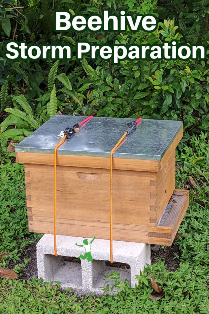 safely secured beehive prepared for severe storm