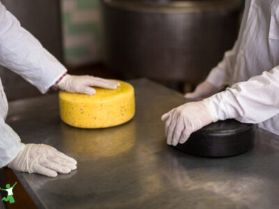 edible microchips added to cheese