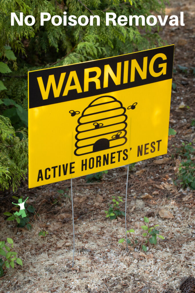 sign warning of active hornets nest requiring chemical-free removal