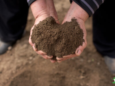 fulvic acid soil in woman's hands