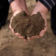 fulvic acid soil in woman's hands