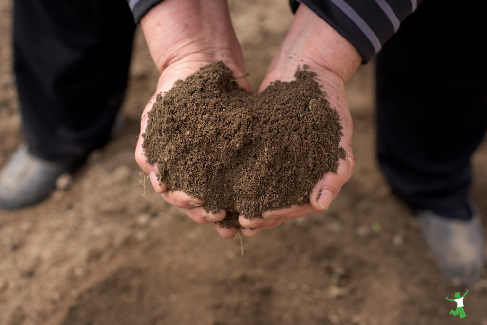 woman with handfuls of soil rich in fulvic acid