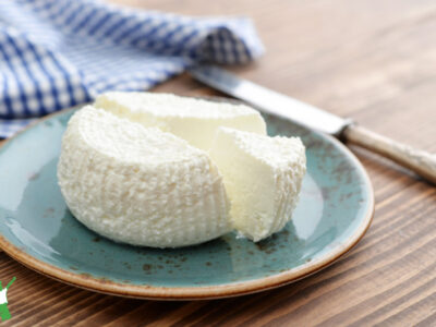 homemade ricotta cheese from raw milk on ceramic plate on wood table