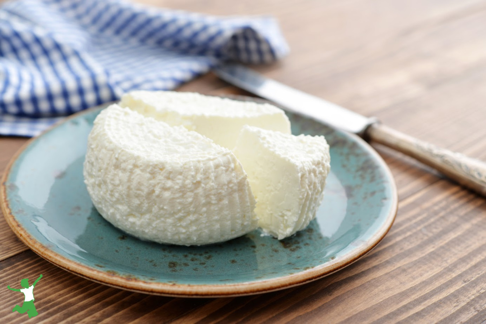 homemade ricotta cheese from raw milk on ceramic plate on wood table