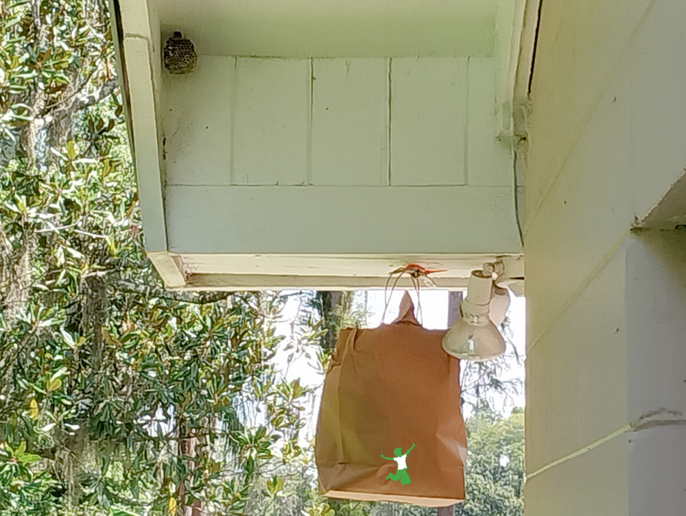 abandoned wasp next next to a brown paper bag