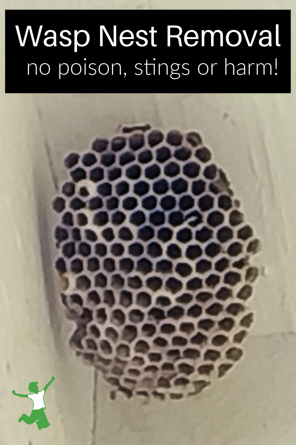 Easy Wasp Nest Removal (no harm!) Healthy Home Economist