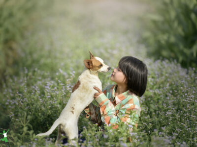 child with pet dog in field of flowers