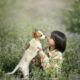child with pet dog in field of flowers