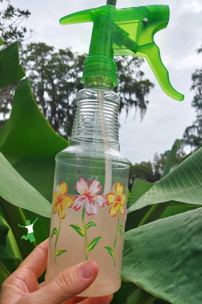 spray bottle of organic Bt for caterpillar control