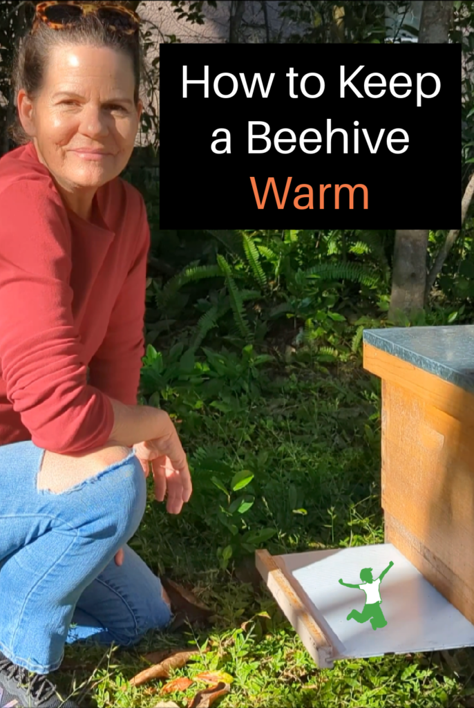 woman adding a sticky board to keep beehive warm 