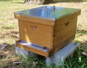 backyard beehive