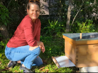 beekeeper adding a bottom board to a hive for warmth