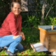 beekeeper adding a bottom board to a hive for warmth