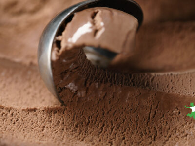 scoop of homemade raw chocolate ice cream