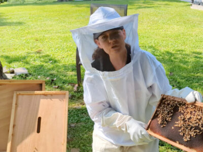 woman with beehive frame checking for varroa mites