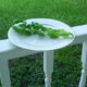 fresh basil drying on white plate